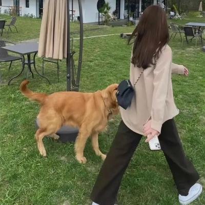 猎后真相